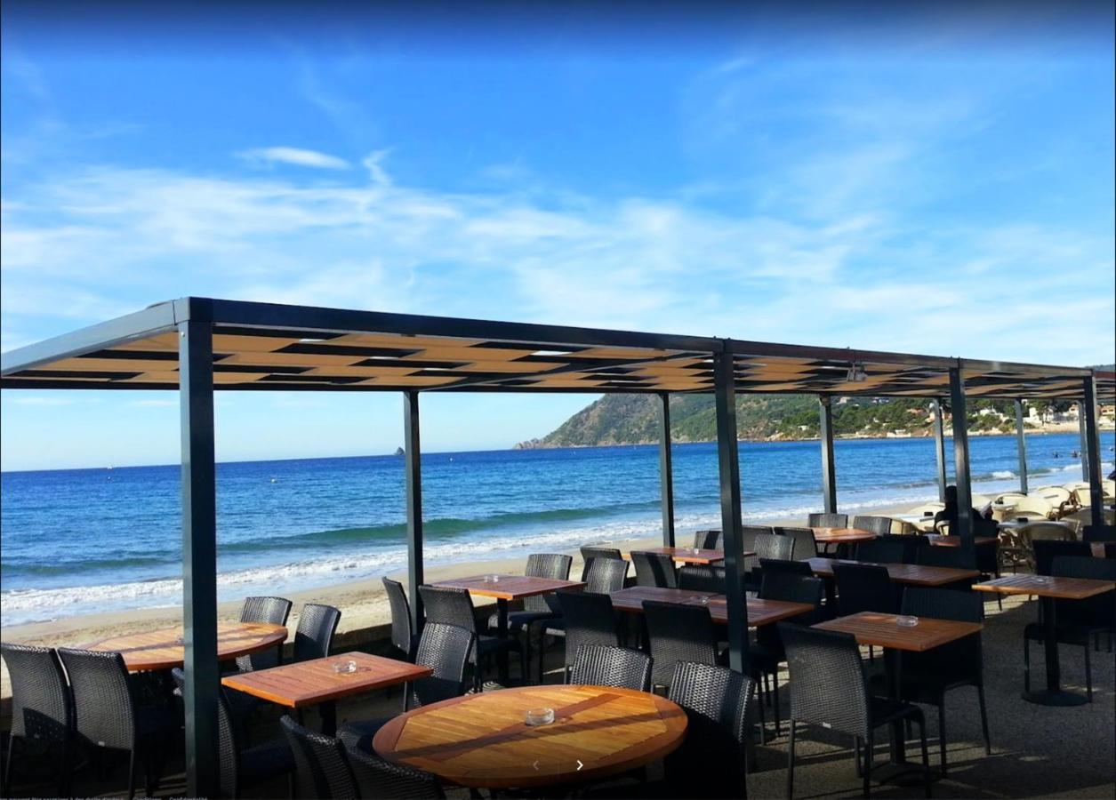 Bas De Jardin Plein Sud Proche Clim-wifi * Saint-Mandrier-sur-Mer
