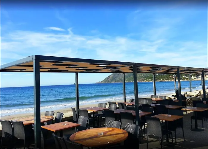 Bas De Villa Jardin Plein Sud Proche Mer Clim-Wifi